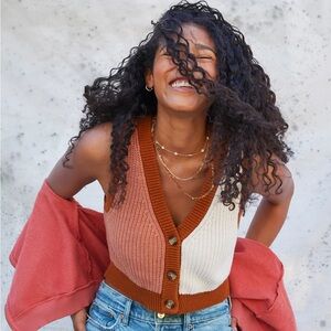 AE cropped sweater vest